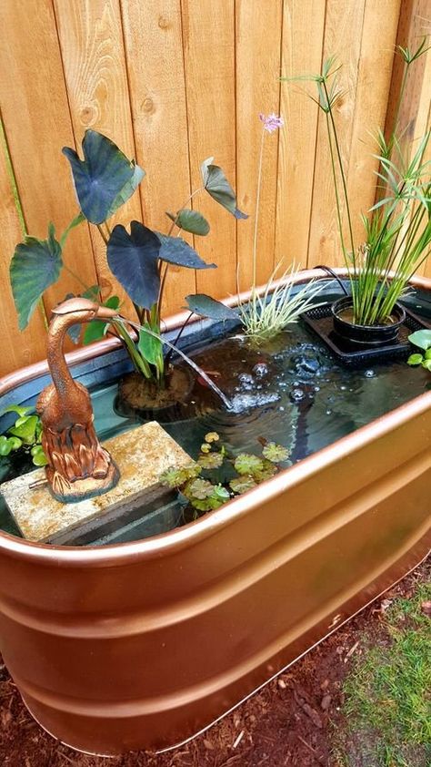 25 Spectacular Outdoor Mini Water Garden Ideas | Balcony Garden Web Ponds Ideas, Small Water Gardens, Container Water Gardens, Backyard Ponds, Patio Pond, Indoor Water Garden, Diy Pond, Fountains Backyard, Pond Fountains