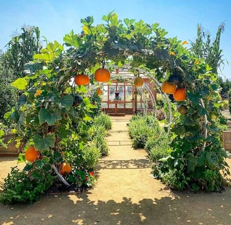 Moon Arch Garden, Gated Garden Ideas, Moon Gate Diy, Moon Gate Garden, Moongate Garden, Hanging Pumpkins, Veg Growing, Garden Gate Ideas, Moon Gates