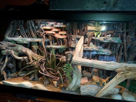 How to Make Background Fake Rock Walls for Reptiles Diy Reptile Decor How To Make, Bioactive Bearded Dragon Tank, Diy Reptile Waterfall, Reptile Enclosure Backgrounds, Diy Reptile Hide Slate, Reptile Terrarium Diy Rock Wall, Fake Rock Wall, Snake Cages, Diy Reptile