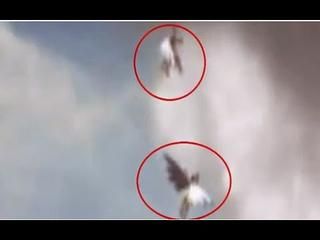 2 Angels Caught On Camera Flying - Angel Sightings, Paranormal Videos, Real Paranormal, Angel Videos, Angel Flying, Angel Clouds, Real Angels, Real Unicorn, Aliens And Ufos