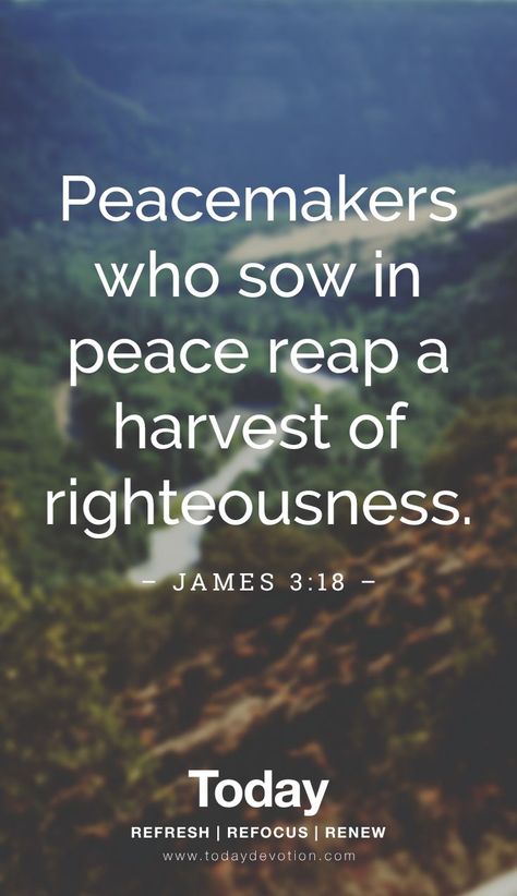 Peacemakers who sow in peace reap a harvest of righteousness. #scripture #bibleverse #dailydevotion #todaydailydevotion #devotions Righteousness Quotes Scriptures, Righteousness Quotes, Peace Scripture, Bible Reading, In Peace, Read Bible, Scripture Quotes, Daily Devotional, Scripture Verses