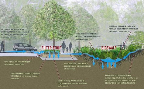 Cities, Sustainability & Communications: THE ABC/ Ecological Storm Water Management Sponge City, Green Infrastructure, Stormwater Management, Sustainable City, Basin Design, Easy Landscaping, Rainwater Harvesting, Green Architecture, Water Management