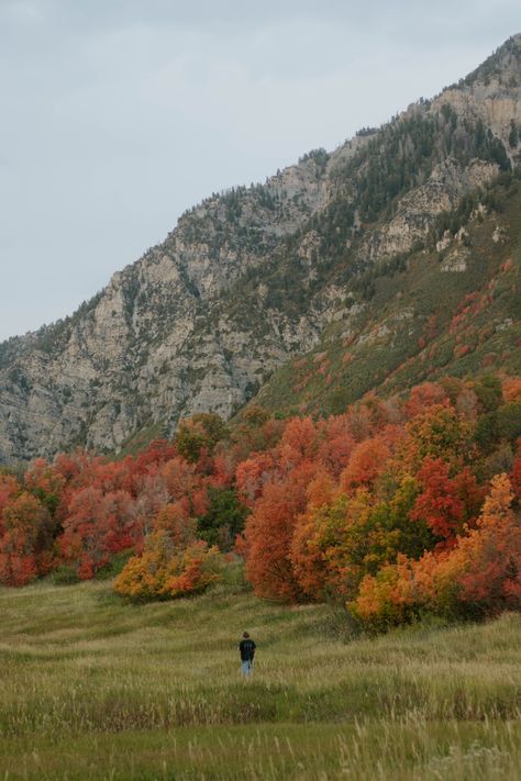 Fall In Mountains, Fall In Utah, Autumn Nature Aesthetic, Polymath Aesthetic, Fall Aethestic, Utah Autumn, Fall Fashion College, Fashion Trends Aesthetic, Fall In The Mountains