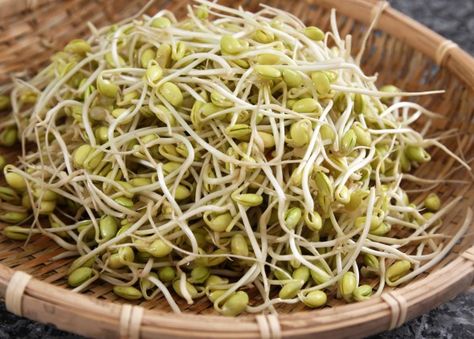 soy bean sprouts Bean Sprouts Benefits, Benefits Of Moringa Seeds, Sprouts Benefits, Soybean Sprouts, Healthy Digestive System, Top List, Leafy Vegetables, Bean Sprouts, Eating Raw