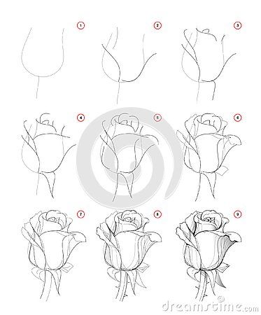 Rose Drawing Side View, Rose Tutorial Drawing, Rosebud Drawing, Rose Drawing Simple Step By Step, How To Draw A Rose Step By Step, Draw Roses Step By Step, Rose Drawing Step By Step, How To Draw A Rose, Rose Drawing Tutorial