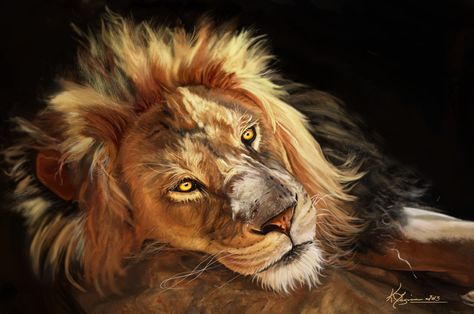 Lion Pics, Lion Paintings, Lion Resting, Lion Artwork, Lion Poster, Fox Dog, Wildlife Artwork, Lion Painting, Lion Wallpaper