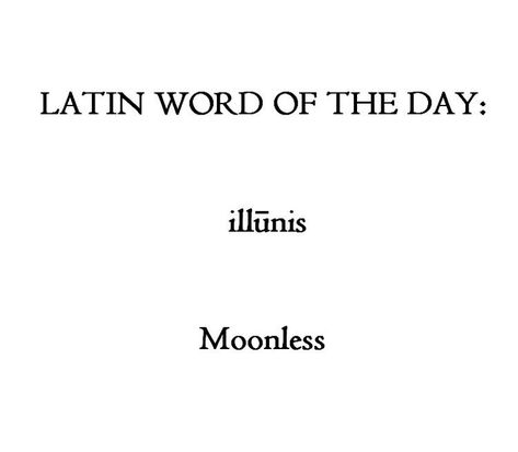 Latin Quotes, Latin Language, Latin Phrases, Latin Word, Uncommon Words, Fancy Words, Unusual Words, Rare Words, Latin Words