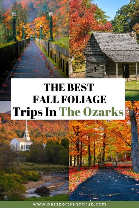 Fall Foliage Trips - Ozarks Arkansas: The Ozarks offer some of America's most beautiful scenery, particularly in autumn when fall foliage is at its peak. Maples, oaks, ashes and hickories in the area.  Fall Foliage | Foliage Fall | Autumn Foliage | Ozark Mountains | Ozark Trails | Things to do in Arkansas | Things to do in the Ozarks | What to do in Arkansas | Fall Foliage in the Ozarks | Fall Trips | #FallFoliage #FallFoliagetrips Arkansas Fall Foliage, The Old Mill Arkansas, Missouri Fall Foliage Road Trip, Arkansas In The Fall, Ozark Mountains Road Trip, Fall In Arkansas, Branson In The Fall, Arkansas Fall Foliage Road Trip, Eureka Springs Arkansas Fall