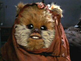 Cute ewok Ewoks Star Wars, Creature Movie, Perro Shih Tzu, Star Wars History, Star Wars Species, Creepy Toys, Star Wars Canon, Star Wars Background, Star Wars Character