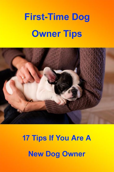 Owning A Dog For The First Time, Dog Owner Tips, Animal Tips, Behavior Tips, New Dog Owner, Puppy Checklist, Owning A Dog, Elderly Dogs, Newborn Puppies