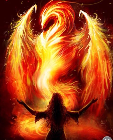 "sometimes everything hurts til you realize it's not pain it's growth" #quote #art #freespiritedwarriors Phoenix Artwork, Phoenix Art, Phoenix Bird, Fire Bird, Phoenix Tattoo, Fire Art, Mystical Creatures, Arte Fantasy, Angel Art