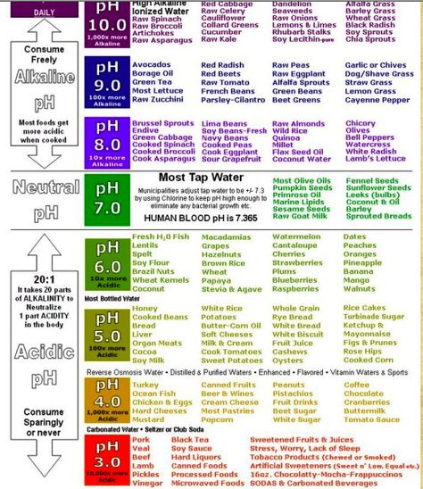 Ph scale Ph Food Chart, Acid And Alkaline, Health Benefits Of Ginger, Food Chart, Ginger Benefits, Resep Diet, Food Charts, Alkaline Diet, Alkaline Foods