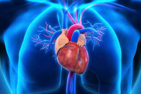 Human Heart Wallpaper, Heart Surgery Recovery, Penyakit Jantung, Heart Valves, Open Heart Surgery, Desktop Background Pictures, Heart Function, Easter Wallpaper, Heart Surgery