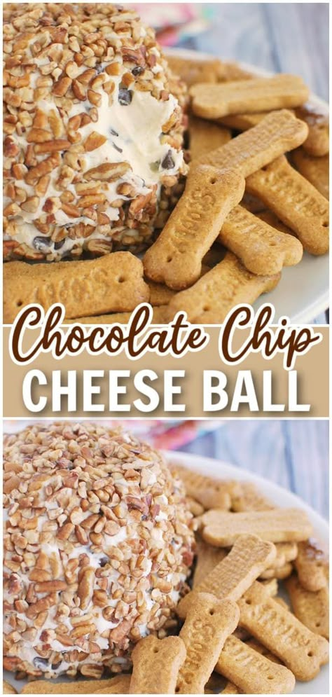 Chocolate Chip Cheese Ball - the most delicious sweet dessert cheese ball. A creamy vanilla base with mini chocolate chips and rolled in chopped pecans. Chocolate Chip Cheese Ball, Dessert Cheese Ball, Cheese Ball Recipes, Chocolate Dessert Recipes, Starters Recipes, Tasty Bites, Sweet And Savory, Cheese Ball, Best Dessert Recipes