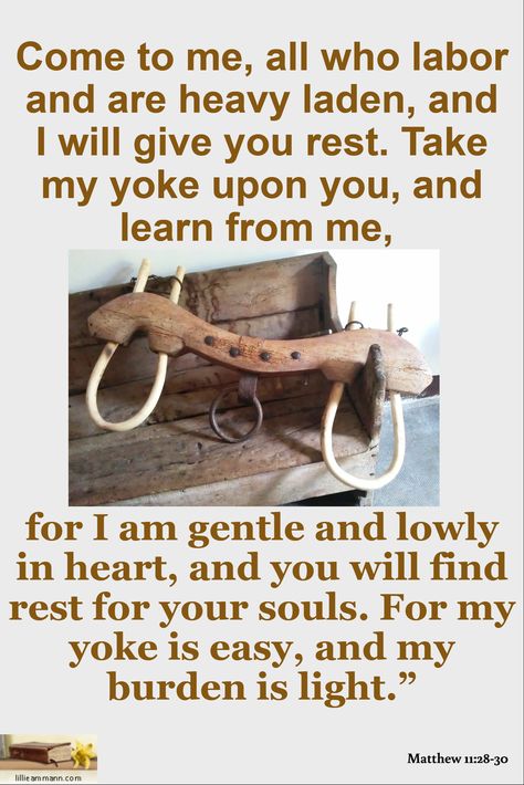 Matthew 11:28-30 / Come to me, all who labor and are heavy laden, and I will give you rest. Take my yoke upon you, and learn from me, / for I am gentle and lowly in heart, and you will find rest for your souls. For my yoke is easy, and my burden is light.” Take My Yoke Upon You, My Yoke Is Easy And My Burden Is Light, Gentle And Lowly, My Burden Is Light, Matthew 11 28 30, Magnet Ideas, Faith Is The Substance, Encouraging Thoughts, Background Powerpoint