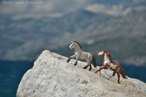 Schleich: Photo by Martyna Nejman Market Photo Ideas, Schleich Horses Stable, Schleich Animals, Animal Figurine Toys, Market Photo, Bryer Horses, Schleich Horses, Tiny Horses, Horse Club