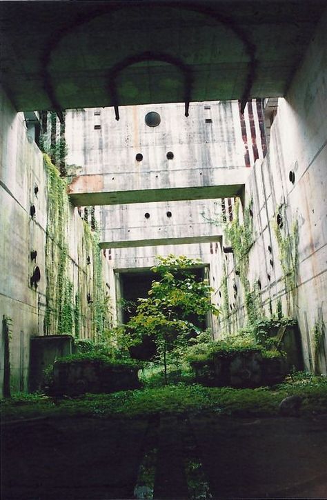 Urban Overgrowth, Lots Of Plants, Apocalypse Aesthetic, Lost Garden, Brutalism Architecture, Garden Of Eden, Brutalism, End Of The World, Pretty Places