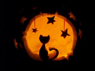 Cat Pumpkin Carving, Pumpkin Carving Patterns, Chat Halloween, Pumpkin Carvings, Pumpkin Pumpkin, Halloween Pumpkins Carvings, Carving Patterns, Pumpkin Art, Cat Pumpkin