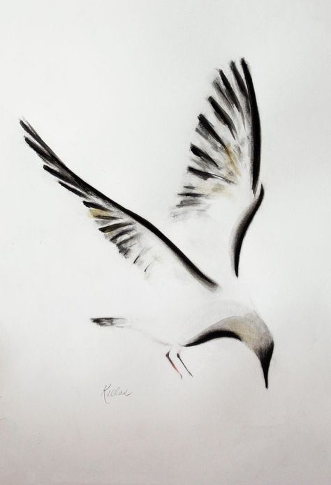 Albatross Drawing, Mr Cartoon Tattoo, Seagull Tattoo, Patriotic Tattoos, Tribute Tattoos, Sumi E Painting, Bird Drawing, Minimalist Drawing, Charcoal Art