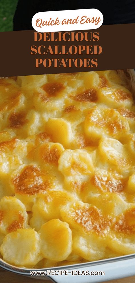 An enticing image of creamy scalloped potatoes, showcasing layers of sliced potatoes and cheese, perfect for a tasty side dish or comfort food. Recipe For Scalloped Potatoes Simple, Scalloped Potatoes With Canned Potatoes, Cream Cheese Scalloped Potatoes, Easy Scallop Potatoes, Cheese Sauce For Scalloped Potatoes, Easy Scalloped Potatoes Recipe Simple, Oven Baked Scalloped Potatoes, Cheese Scalloped Potatoes Easy, Ham And Scalloped Potatoes Baked