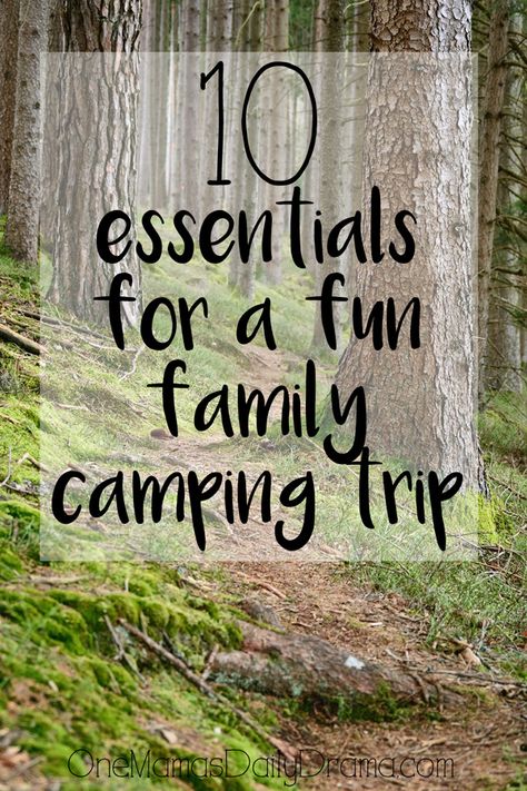 10 essentials for a fun family camping trip from OneMamasDailyDrama.com    #summer #vacation #camp Visiting Grandparents, Camping Hacks With Kids, Boredom Busters For Kids, Trip Snacks, Family Summer Vacation, Road Trip Snacks, 10 Essentials, Family Summer, Family Camping Trip