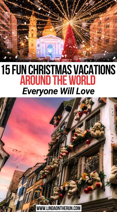 15 Fun Christmas Vacations Around the World : Everyone Will Love Places To Visit During Christmas, Christmas Vacation Ideas, Bucket List Christmas, Christmas Vacation Destinations, Christmas Travel Destinations, Travel Christmas, Christmas Destinations, Wildlife Travel, Christmas Markets Europe