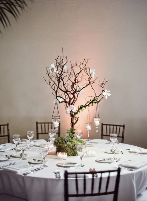 Birch Wedding Centerpieces, Tree Wedding Centerpieces, Country Club Style, Birch Tree Wedding, Root Table, Holly Wedding, Quinceanera Planning, Reception Look, Grass Roots