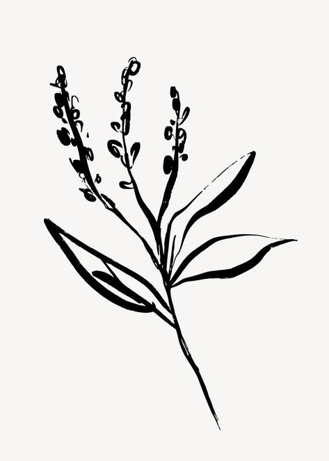 Ignorant Flower Tattoo, Lavender Line Drawing, Line Art Lavender, Brush Aesthetic, Lavender Drawing, Line Drawing Flower, Aesthetic Line Art, Simple Tattoos For Guys, Line Art Flowers