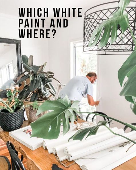 Which white paint and where? | Katrina Chambers | Bloglovin’ Weatherboard House, Water Based Primer, Shelf Dividers, Large Pantry, Inside Plants, Dining Table Centerpiece, Boys Bedrooms, Our House, Yard Landscaping