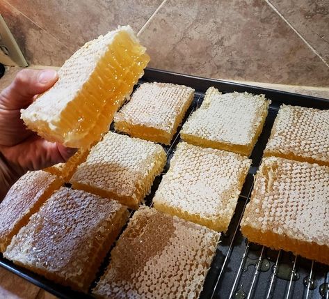 Honeycomb Aesthetic, Honey Harvest, Honey Aesthetic, Comb Honey, Honey Combs, Honey Packaging, Quick Vegetarian Meals, The Hive, Honey Recipes