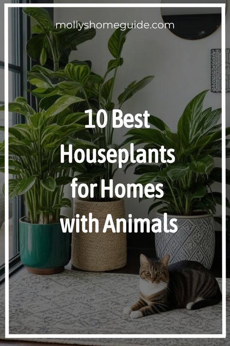 Discover the best indoor plants that are safe for your beloved pets and kids! Whether you're looking for non-toxic options or pet-friendly varieties, this plant guide for pet owners has you covered. From low-light indoor plants to those safe for cats and dogs, explore a variety of options to brighten up your space without worry. Learn about 15 indoor plants that are safe for cats and dogs, as well as 30 best non-toxic indoor plants. Non Toxic Plants For Cats, Cat Friendly House Plants, Cat Friendly Plants, Best Houseplants, Toxic Plants For Cats, Low Light Indoor Plants, Calathea Plant, Easy Pets, Cat Plants