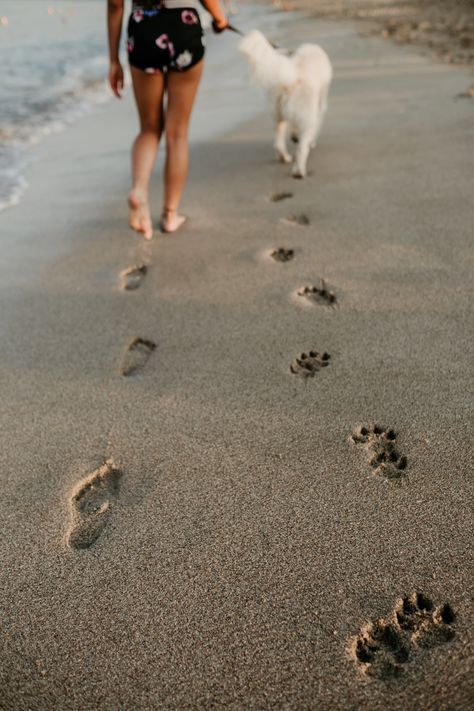 Friends' footsteps | HD photo by Linda Robert (@photolin) on Unsplash Pet Beach Photography, Dog On Beach Photography, Beach Pics With Dog, Beach Pictures With Dog, Dog Beach Aesthetic, Dog Beach Photoshoot, Beach Photoshoot With Dog, Beach Photos With Dog, Dog Beach Pictures