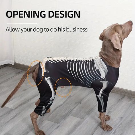 Pet Jumpsuit Halloween Skeleton Dog Costumes Clothes Apparel For Puppy Dog Puppies Xl 3xl | Today's Best Daily Deals | Temu Dog Skeleton Costume, Dog Skeleton Halloween, Dog Costumes Funny, Dog Pjs, Skeleton Halloween Costume, Dog Skeleton, Skeleton Costume, Pet Halloween Costumes, Dog Halloween Costumes