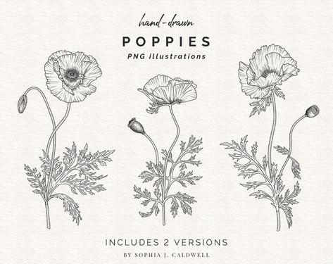 Forget Me Nots Flowers, Flower Line Art, Trademark Design, Poppies Tattoo, Junk Journaling, Beautiful Drawings, Art Hand, Poppy Flower, Digital Stamps