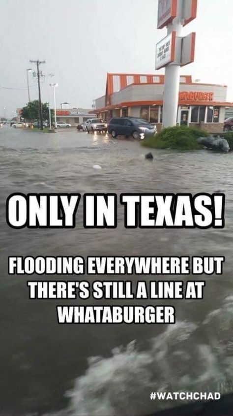 I will swim to whataburger! Southern Humor, Texas Humor, Texas Baby, Only In Texas, Texas Life, Republic Of Texas, Texas Forever, Loving Texas, Texas History