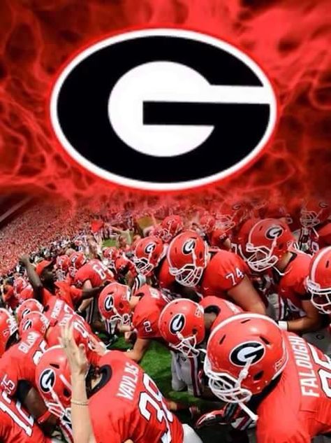 Georgia Wallpaper, Dawgs Football, Georgia Bulldog Mascot, Georgia Tech Football, Bulldog Wallpaper, Georgia Bulldawgs, Kirby Smart, Uga Football, Sports Vinyl