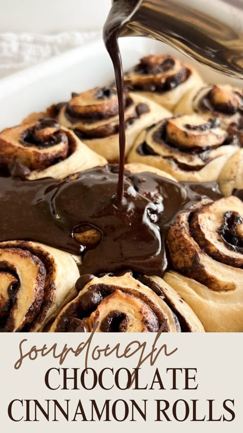 Chocolate Sourdough Cinnamon Rolls, Sourdough Chocolate Brioche, Little Spoon Farm Sourdough Cinnamon Rolls, Sourdough Recipes Chocolate, Chocolate Cinnamon Star Bread, Sourdough Savory Rolls, Sourdough Chocolate Rolls, Chocolate Sour Dough Bread, Chocolate Sourdough Recipes