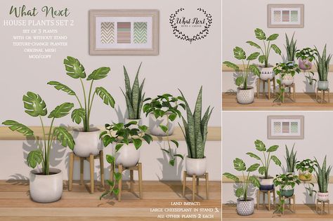 {what next} House Plants 2 - Set of 3 | A new set of house p… | Flickr Sims 4 Cc Monstera Plant, Sims 4 Houseplant Cc, Sims 4 Cc Furniture Clutter Kitchen, Sims4 Plants Cc, Sims Plants Cc, The Sims 4 Cc Furniture Ikea, Maxis Match Furniture Cc, Sims4 Cc Decorations, Sims 4 Cc Plants Patreon