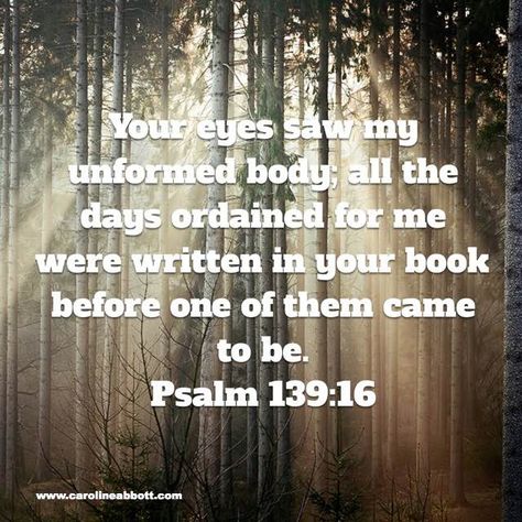 God knows my past present and future Psalm 142, Psalm 129, Psalm 1 3, Psalm 139 16, 1 John 1 9, Wonderful Quotes, Psalm 1, Amplified Bible, My Youth