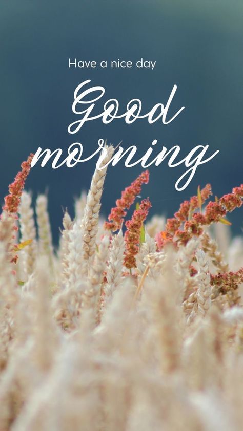 Happy Morning Quotes Smile, Friend Good Morning, Monk Pictures, Thai Dance, Grand Rising, Good Morning People, Quotes Smile, Morning Wallpaper, Good Morning Greeting Cards