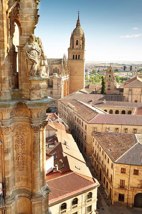 University Of Salamanca Spain, Spain Salamanca, Spain Cities, Old Cathedral, Salamanca Spain, River Cruises In Europe, The Twin Towers, Unique Travel, Twin Towers