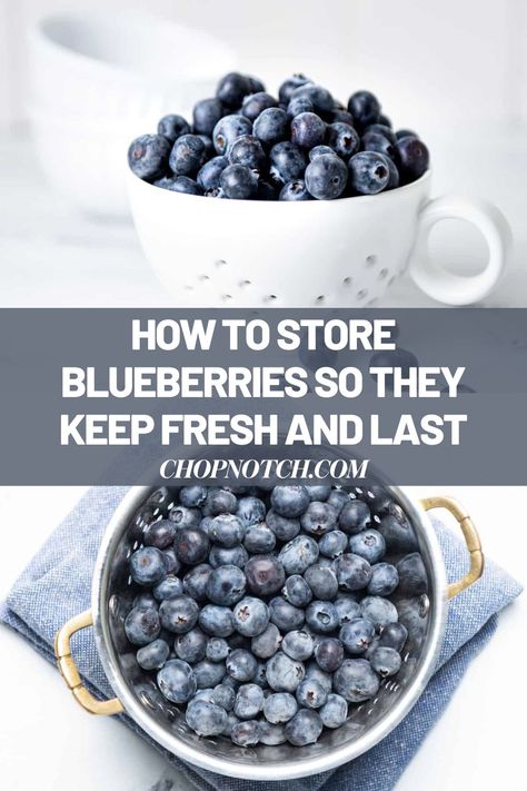 Fresh blueberries are always a treat, whether you top your oatmeal with them, use them in a sundae recipe, or enjoy them as a low-calorie snack. Knowing how to store blueberries is very important since you won't want these delicious little berries to go bad before you have the chance to enjoy them. #Blueberrues #FoodStorage Storing Blueberries, Canning Basics, How To Store Blueberries, Fast Easy Desserts, Sundae Recipes, Drink Inspiration, Beverage Recipes, Storage Tips, Low Calorie Snacks