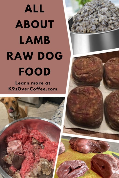 Looking to feed your dog raw lamb but not sure where to source lamb raw dog food? In this post, I mention where you can buy premade, manufactured raw lamb dog food as well as where you can buy individual cuts of raw lamb for your DIY homemade raw dog food. Bonus: Air-dried and freeze-dried raw dog food lamb recipes as options for feeding raw dog food when camping and traveling. Let's dive in now! Homemade Lamb Dog Food Recipes, Homemade Raw Dog Food, Home Cooked Dog Food, Raw Dog Food, Raw Dog Food Recipes, Dog Nutrition, Lamb Recipes, Freeze Dried, Freeze Drying