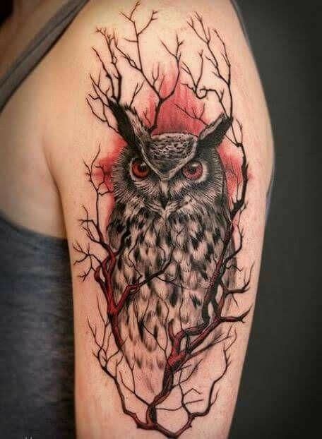 Realistic Owl Tattoo, Rabe Tattoo, Owl Tattoo Drawings, Cute Owl Tattoo, Tattoo Henna, Cool Arm Tattoos, Owl Tattoo Design, Tattoo Graphic, Tatuaje A Color