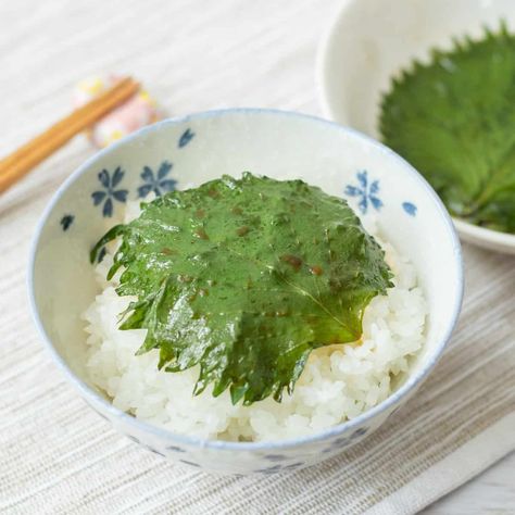 Japanese Pickled Shiso (Perilla) Leaves in Soy Sauce - Umami Pot Perilla Leaves, Japanese Pickles, Japanese Recipes, Japanese Rice, Pasta Sauce Recipes, Asian Fusion, Chili Oil, Japanese Dishes, Aromatic Herbs