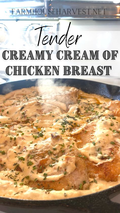 Boneless Chicken Breast Recipes Easy, Creamy Chicken Breast Recipes, Chicken Breast Pasta, Chicken Breast Dinner, Chicken Boneless Breast Recipes, Easy Chicken Breast, Chicken Breast Recipe, Roasted Chicken Breast, Easy Chicken Dinner Recipes