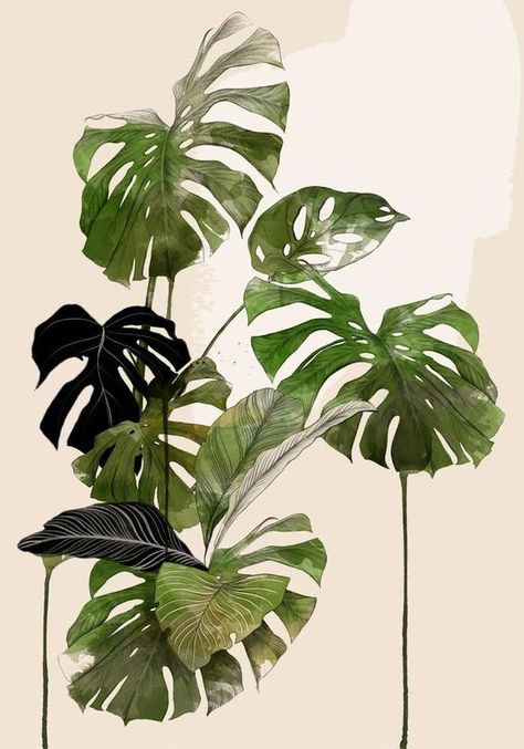 Blatt Tattoos, Illustration Botanique, Plant Drawing, Botanical Painting, Botanical Drawings, Plant Illustration, Plant Art, Leaf Art, Urban Jungle