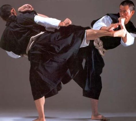 Shorinji Kempo Shorinji Kempo, Kempo Karate, Martial Arts Forms, Martial Arts Styles, Combat Art, Hapkido, Yoga Dance, Samurai Art, Martial Artists