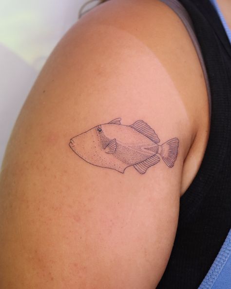 Hawaii state fish Hawaii Fish Tattoo, Butterfly Fish Tattoo, Clam Shell Candle, Hawaii Tattoo, Hawaii Tattoos, Strawberry Plant, Butterfly Fish, Shell Candles, Fish Tattoo