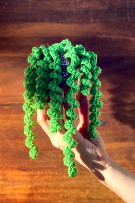 THNLife - Dangling Curly Plant Crochet Pattern by Anna Sands | Anna Sands Plant Crochet, Crochet Plant Hanger, Crochet Succulent, Crochet Garden, Gifts Crochet, Crochet Leaf Patterns, Crocheting Patterns, Crochet Flowers Free Pattern, Crochet Cactus